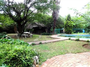 4 Bed House in Lyndhurst