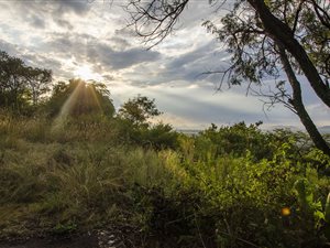 2 ha Land available in Montana Park