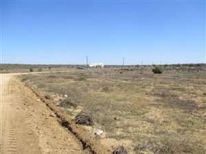 5 ha Farm in Vredenburg