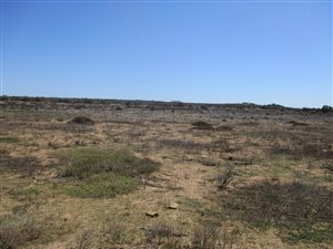 5 ha Farm in Vredenburg