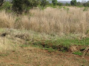 7 ha Land available in Kameeldrift