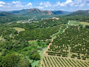112 ha Farm in Karino