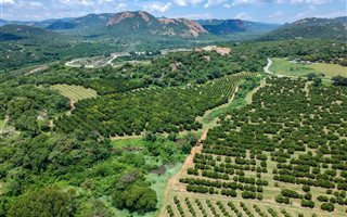 112 ha Farm in Karino