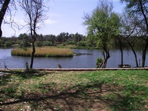 1 ha Farm in Potchefstroom Central