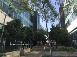 568 m² Commercial space in Fourways