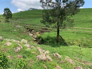 5.6 ha Farm in Hilton