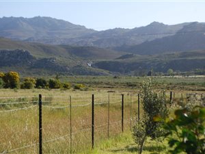 3060 m² Farm in Tulbagh