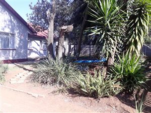 3 Bed House in General Alberts Park