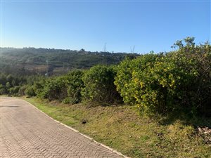 1128 m² Land available in Eastford Cove