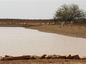 11848 ha Farm in Kakamas