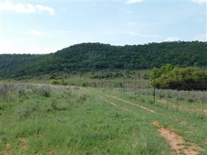 91 ha Farm in Modimolle