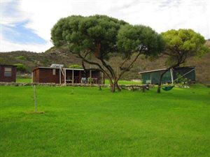 98 ha Farm in Riversdale