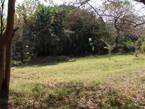 4248 m² Land available in Pumula