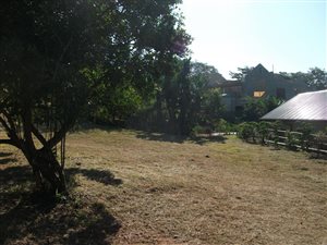 923 m² Land available in Sheffield Beach