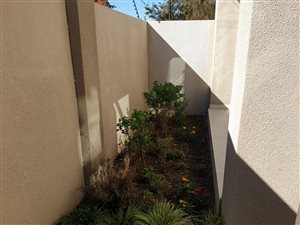 3 Bed Duplex in Oaklands