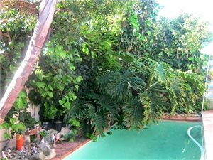 3 Bed House in Steenberg
