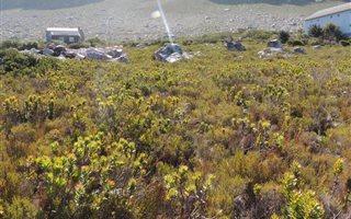 1324 m² Land available in Bettys Bay