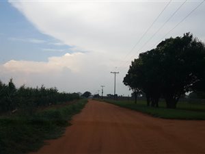 Farm in Delmas