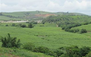 5 ha Farm in Shakaskraal
