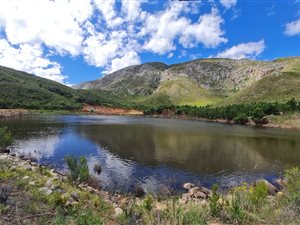 420 ha Farm in Swellendam
