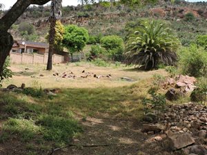 1491 m² Land available in Strubens Valley