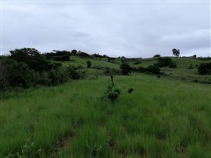 1 ha Land available in Adams Mission