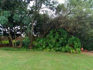 8.5 ha Farm in Rayton