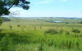 4.2 ha Land available in Cato Ridge