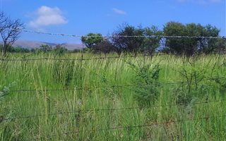 11 ha Farm in Pretoria North