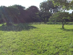 833 m² Land available in Kaysers Beach