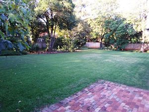 4 Bed House in Wierda Park