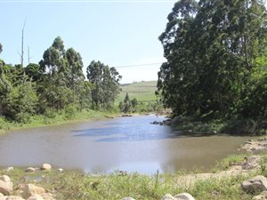 4.1 ha Farmland in Trafalgar