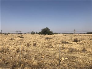 8 ha Land available in Tweedragt