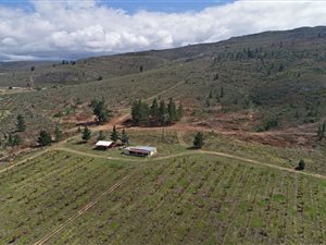89 ha Farm in George Rural