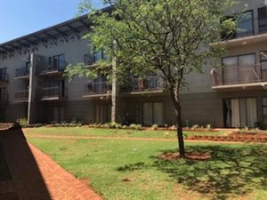 1 Bed Apartment in Dorandia