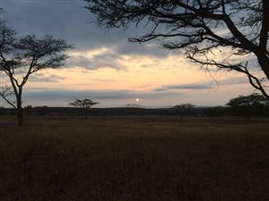 6600 ha Farm in Malelane