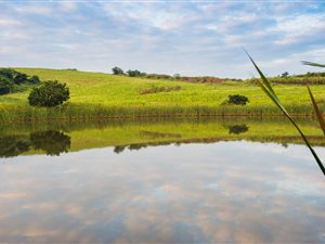 2784 m² Land available in Ballito