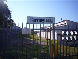 3 Bed Duplex in Woodhaven