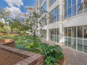 1 Bed Apartment in Illovo