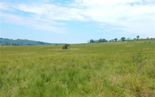 4.2 ha Land available in Cato Ridge