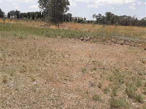 9002 m² Land available in De Deur