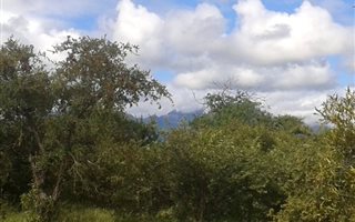 1 ha Land available in Moditlo Nature Reserve