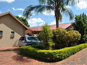 3 Bedroom Duet in Waverley