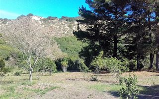 764 m² Land available in Groenvallei