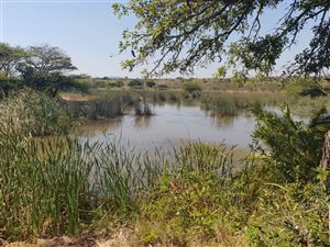Farm in Empangeni