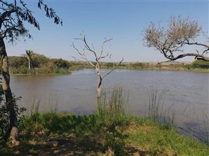 64 ha Farm in Empangeni