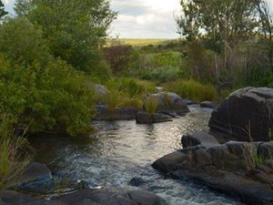 369.1 ha Farm in Lydenburg