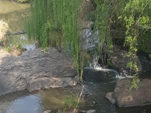 8 ha Farm in Honingklip AH