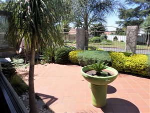 3 Bed House in Hazel Park