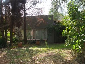 41 ha Farm in Lydenburg